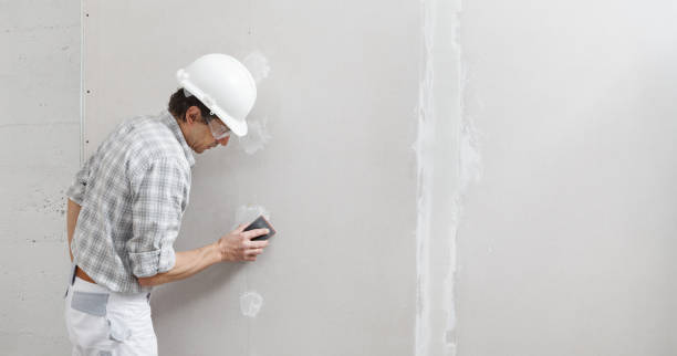 Best Repainting for Renovations  in Grafton, WI